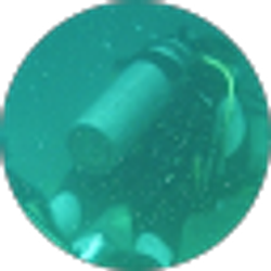 Profile photo of Robert Sammons