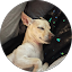 Profile photo of Sarah Wright-Conder