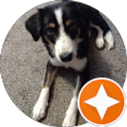 Profile photo of Gary Kendall