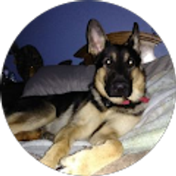 Profile photo of Jenn Miller