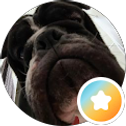 Profile photo of Alan Graf