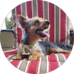 Profile photo of Amanda McIlwain