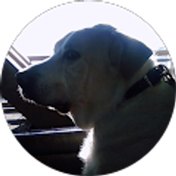 Profile photo of Peter Yoo