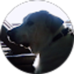Profile photo of Peter Yoo