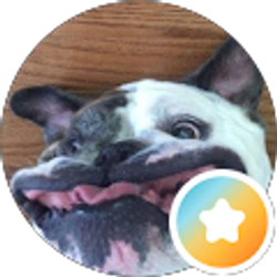 Profile photo of JOSEPH Johnson