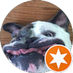 Profile photo of JOSEPH Johnson