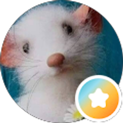 Profile photo of Trivenia Doolittle