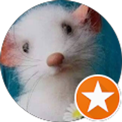 Profile photo of Trivenia Doolittle