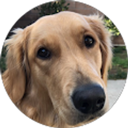 Profile photo of zachary levy