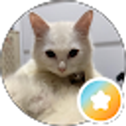 Profile photo of Pueo Mahina