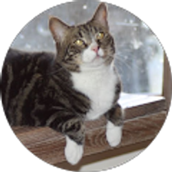 Profile photo of Judy Taylor