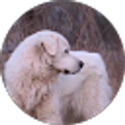 Profile photo of Pamela Bottoms