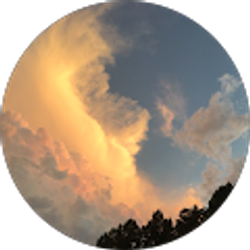 Profile photo of Declan Healey