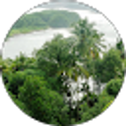 Profile photo of Jack C