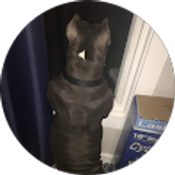Profile photo of adxie
