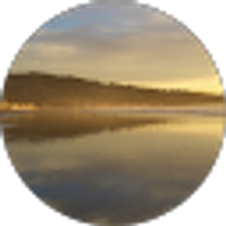 Profile photo of Jeff Kang