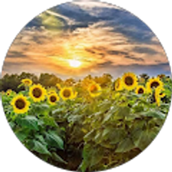 Profile photo of Susie