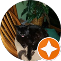 Profile photo of Davelle Crawford