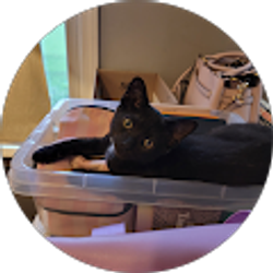 Profile photo of Nicole Shaw