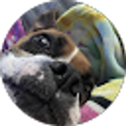 Profile photo of Catelynn Konvalin