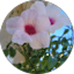 Profile photo of Leilani Vazquez
