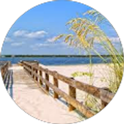 Profile photo of Latoya Williams