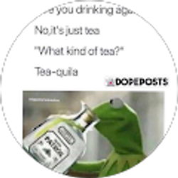 Profile photo of Avery Davis