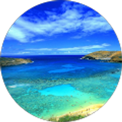 Profile photo of Jennie Kemp