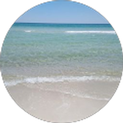 Profile photo of Patricia Baker