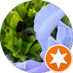 Profile photo of Bertha Winston