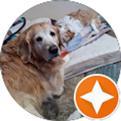 Profile photo of Renea Deblasio