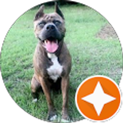 Profile photo of Cathy Tilley