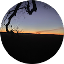 Profile photo of Dylan Christenson