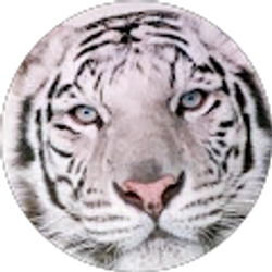 Profile photo of Sandy Vicaria