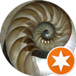 Profile photo of Veronica Williams