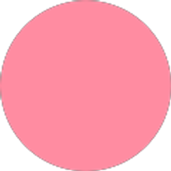 Profile photo of Andrea Juarez