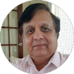 Profile photo of D.K. Srivastava