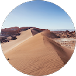 Profile photo of Rob Leyden