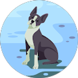 Profile photo of Chris Setter