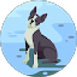 Profile photo of Chris Setter