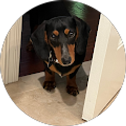 Profile photo of Kay Fuqua