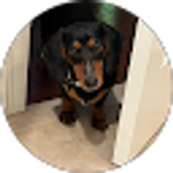 Profile photo of Kay Fuqua