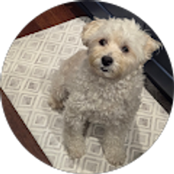 Profile photo of Lydia Im