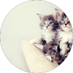 Profile photo of Tracy F