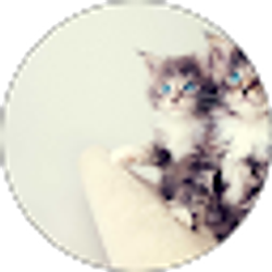 Profile photo of Tracy F