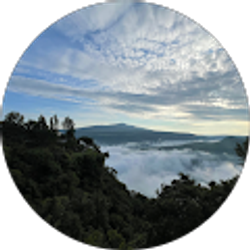 Profile photo of Jairo Martinez