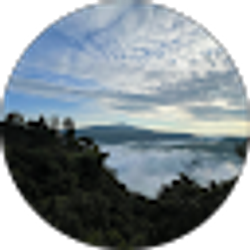 Profile photo of Jairo Martinez