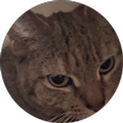 Profile photo of Tracy Offermann