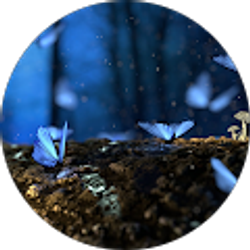 Profile photo of Hope Buchholz