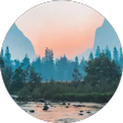 Profile photo of Pedro